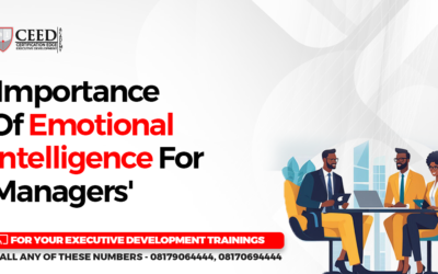 The Importance of Emotional Intelligence for Managers